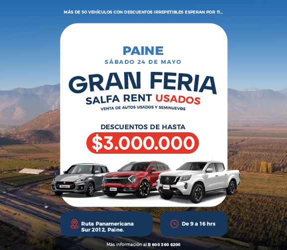Feria paine